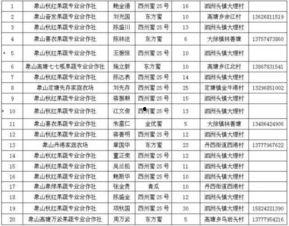 娱乐性质的瓜怎么吃,如何轻松享用娱乐八卦大餐